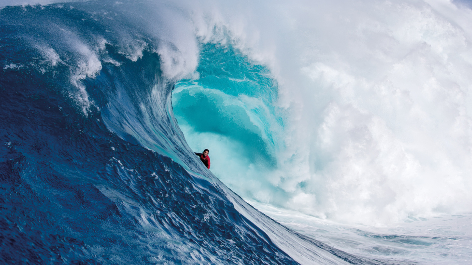 International Ocean Filmtour 2022